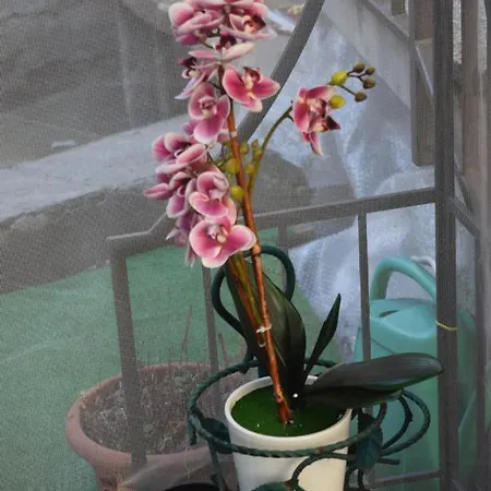 Al Borghetto Apartment